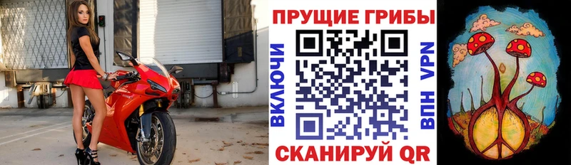 гидра   Петрозаводск  Псилоцибиновые грибы MAGIC MUSHROOMS  где купить наркоту 