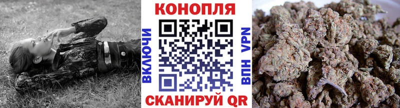 Конопля Bruce Banner  Петрозаводск 